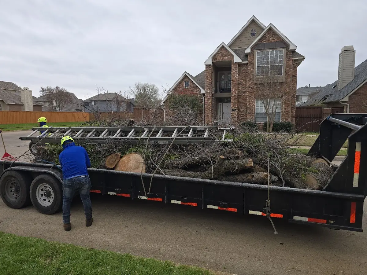 Expert Tree Removal with proper safety equipment in Sandy Hook